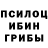 Галлюциногенные грибы Cubensis Yan Brykin