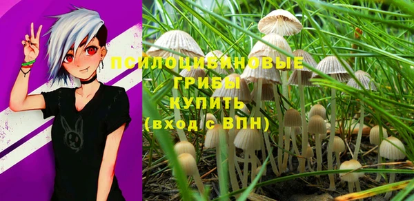 экстази Пересвет