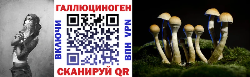 Купить закладки  Пятигорск  Псилоцибиновые грибы Psilocybe 