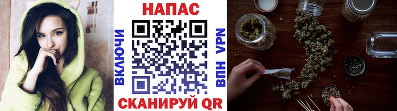 Купить закладки  Пятигорск  Марихуана Ganja